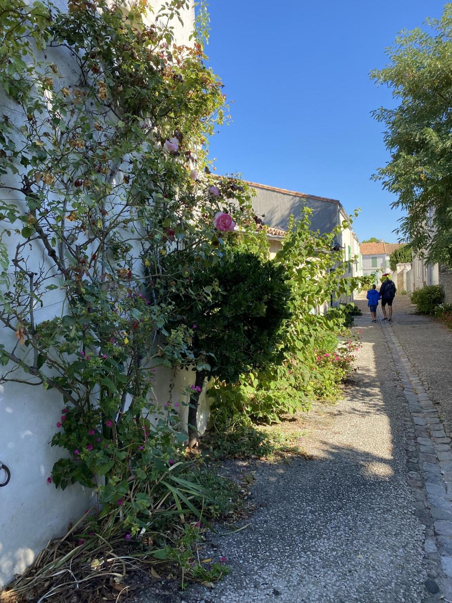 Les Remparts Apartman Saint-Martin-de-Ré Kültér fotó